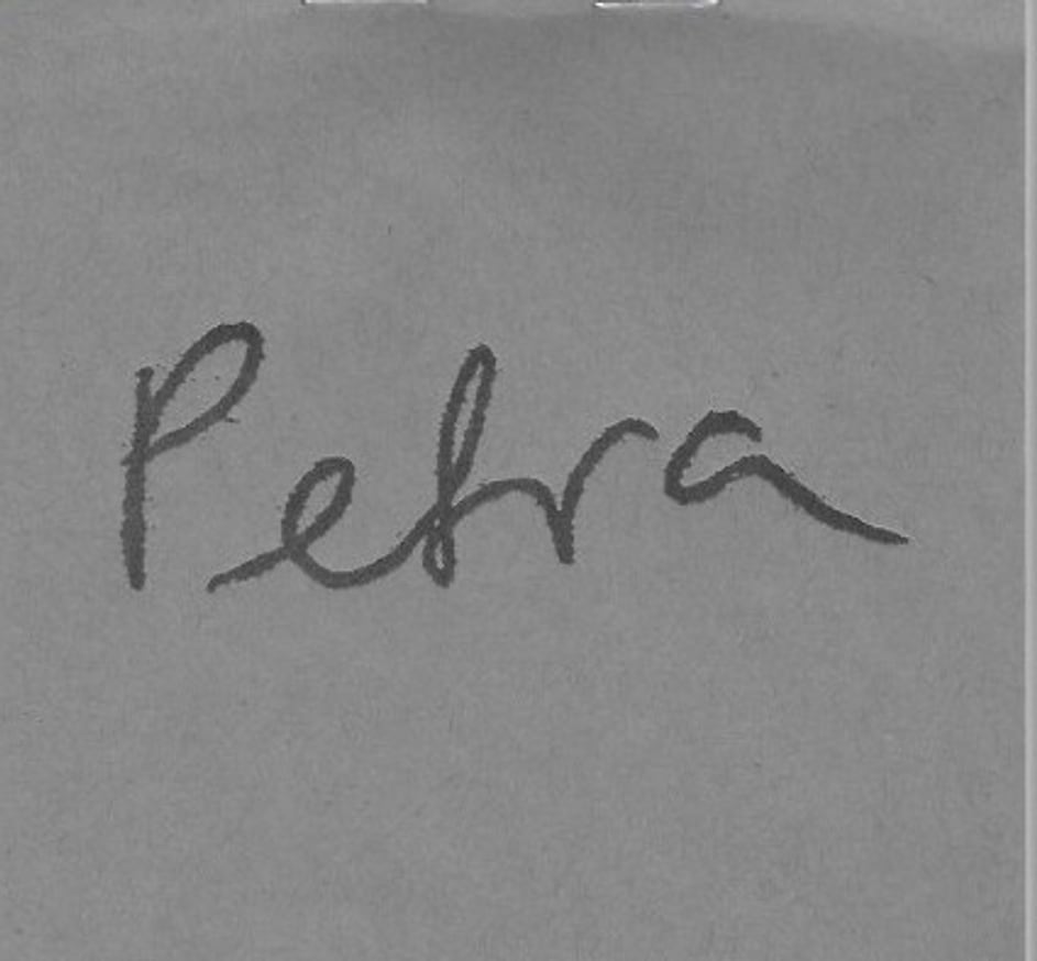 Giulia Crispiani - Petra - Printed Matter