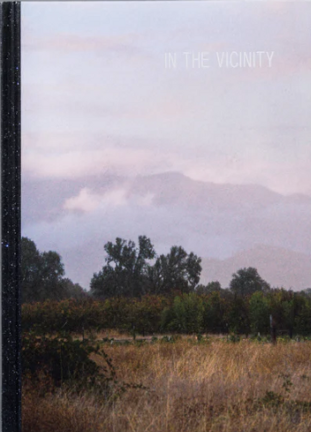 Ed Panar - In the Vicinity - Printed Matter