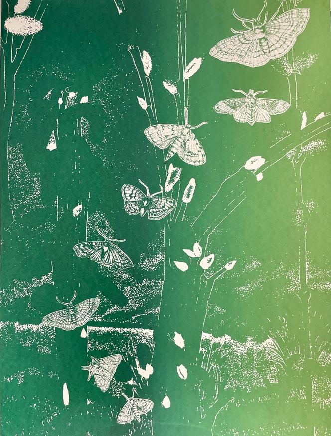 Alicia Nauta - A Moth Exits [Screenprint] - Printed Matter
