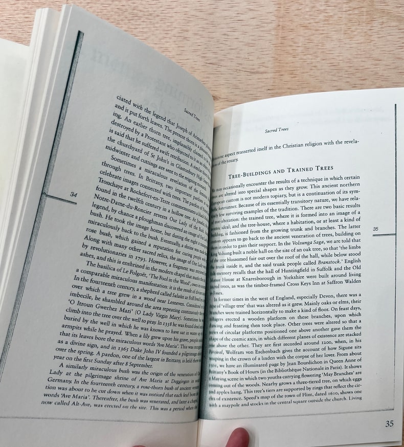 Tyler Rico - Hawthorn Meditation Spring 2022 - Printed Matter